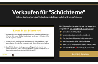 Silent Seller Mentoring