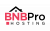 BNB Pro Hosting