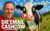 Die EMail-Cashcow