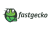 Fastgecko